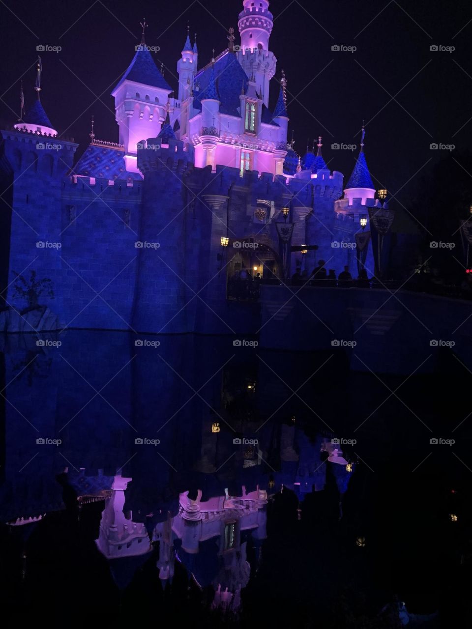 A dream is a wish your heart makes