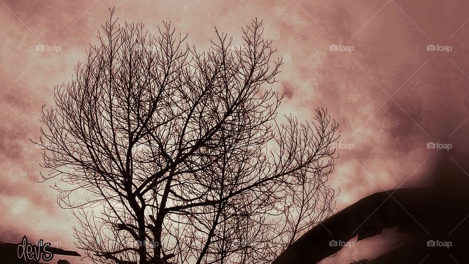 Most of the shadows of this life are caused by our standing in our own sunshine

---Ralph Waldo Emerson