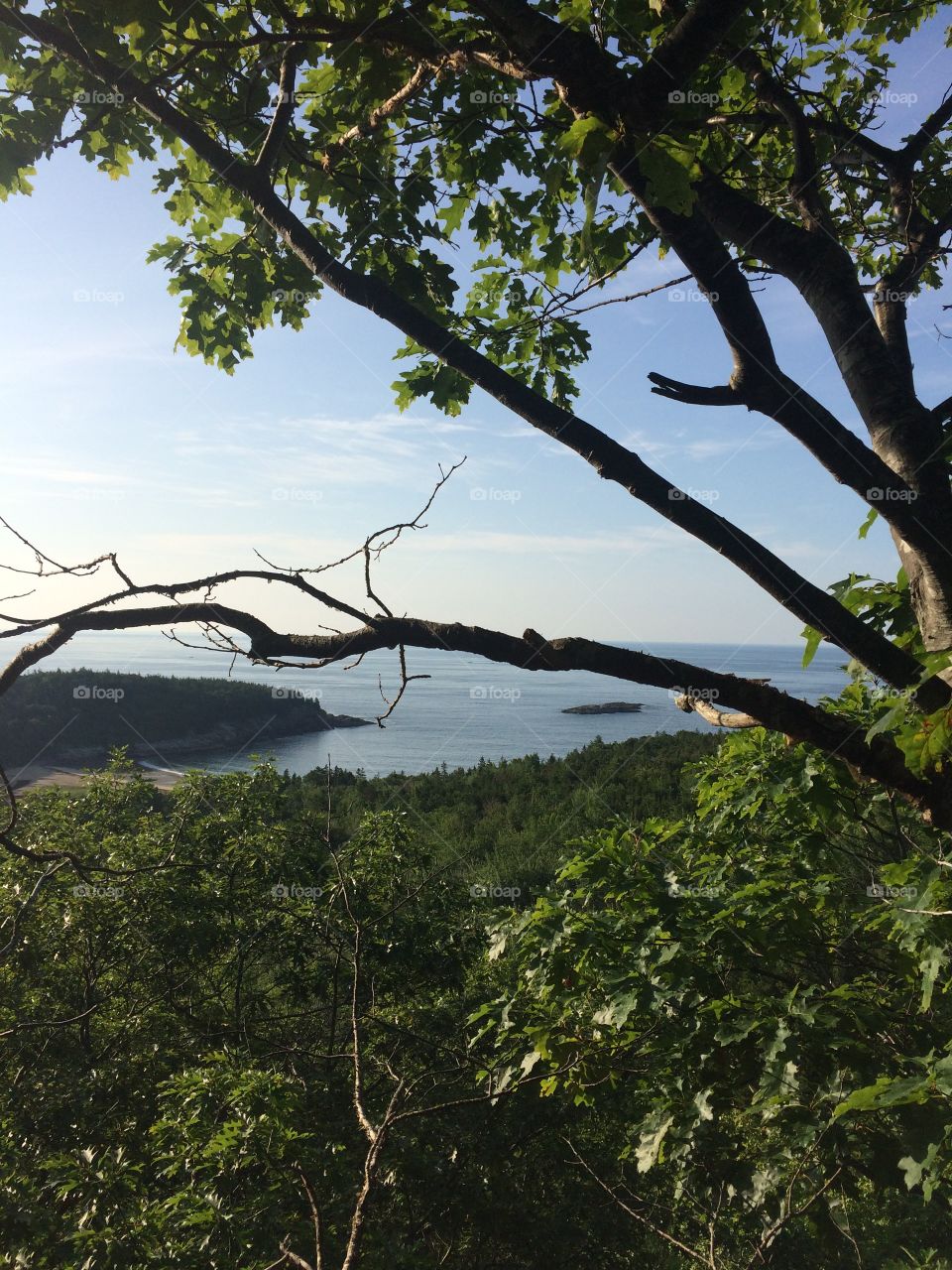 Cliff side ocean view 