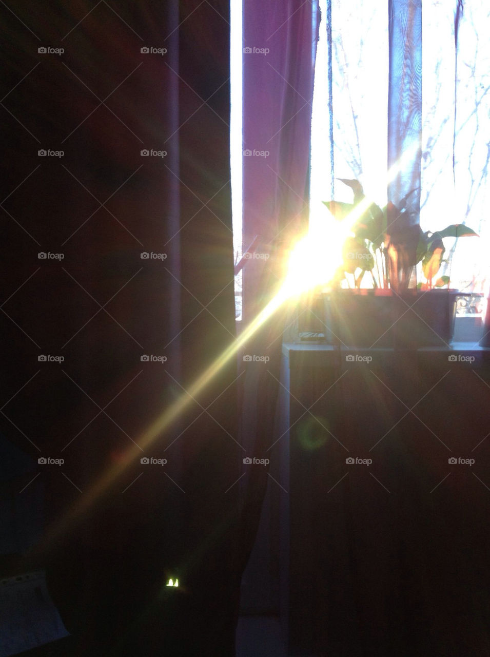 Flame, Energy, Light, Festival, Concert