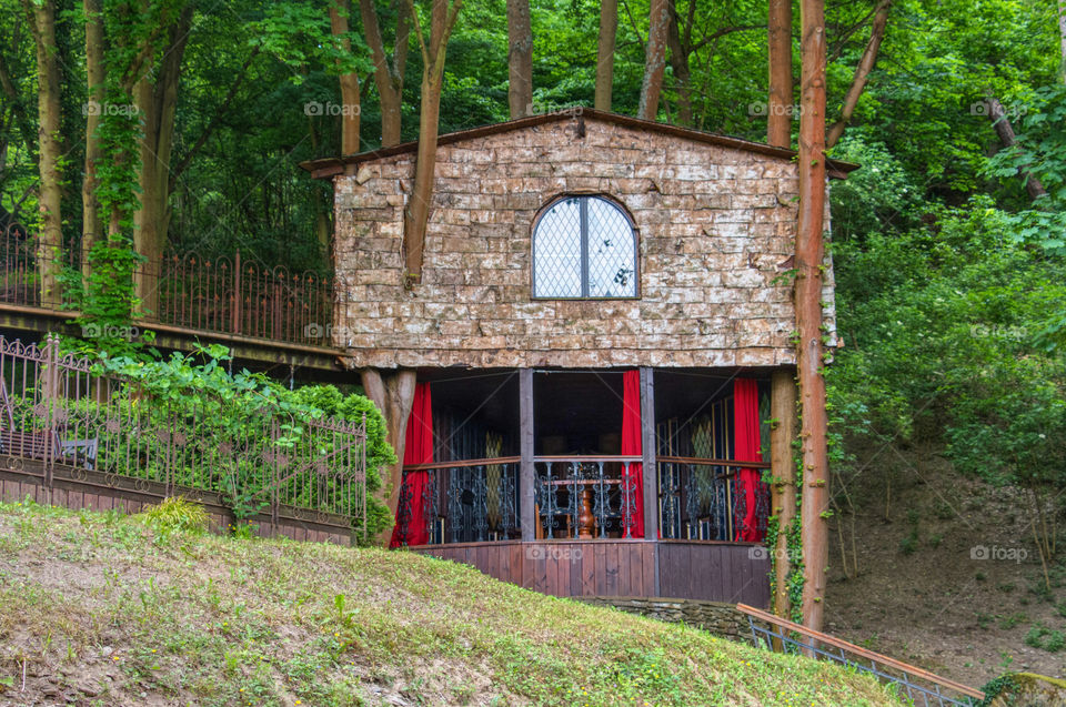 Scenic view of tree house