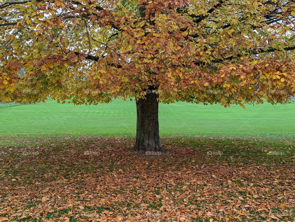 Photo of the Month (November)