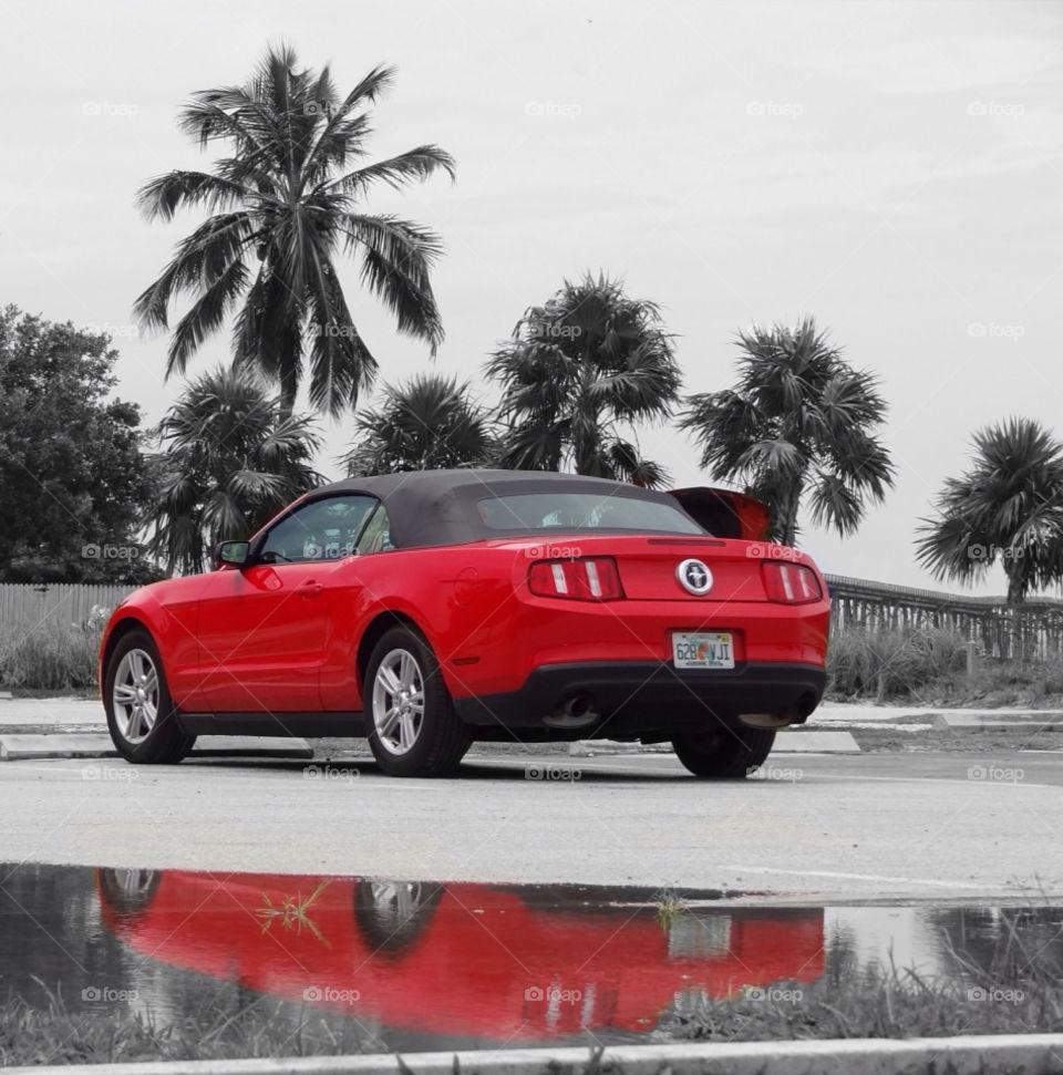 sky car mustang red reflection tree sea florida keys by angeljack