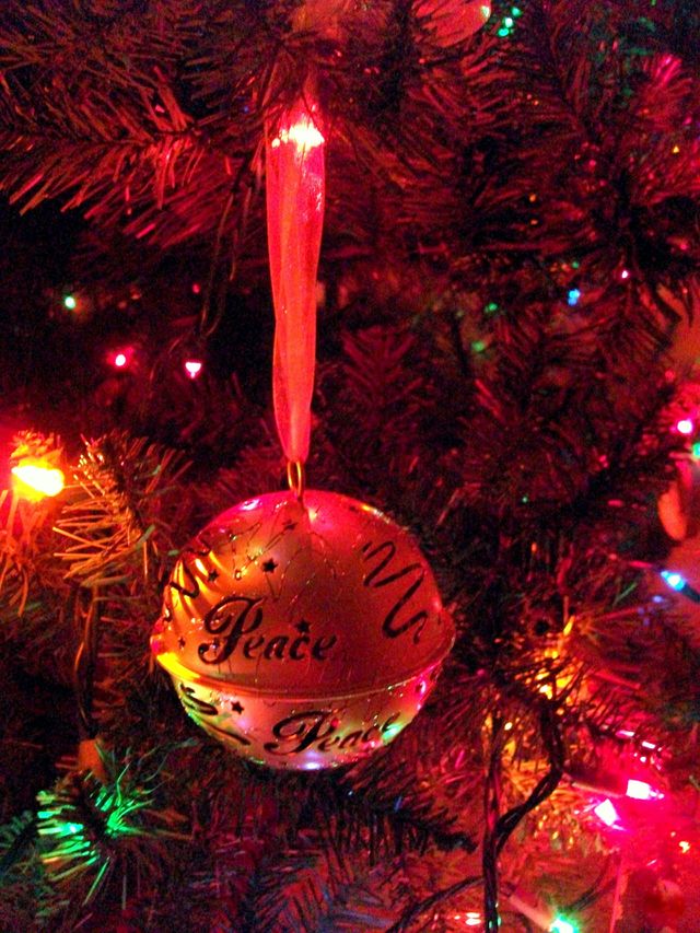 Elements of December Mission - Peace be with You