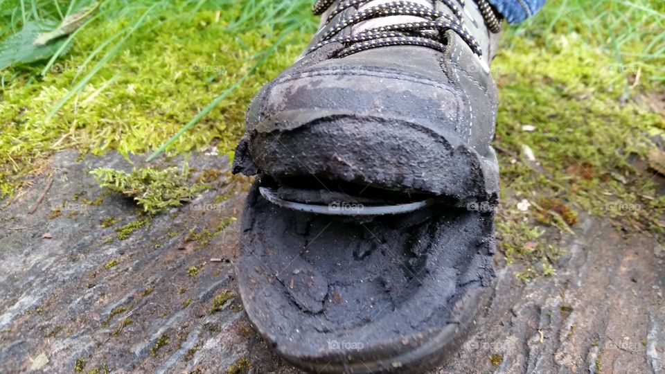 My hiking shoe