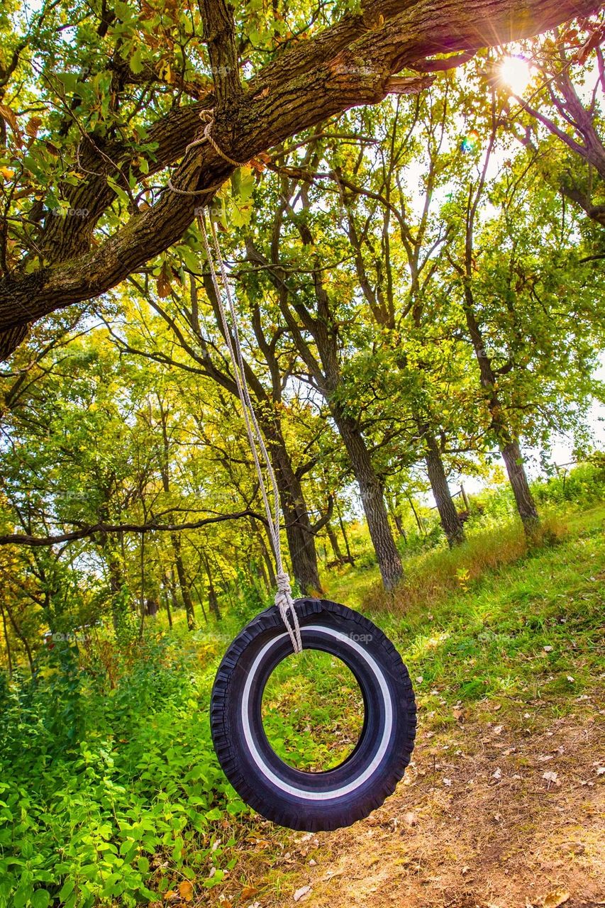 Tire Swing