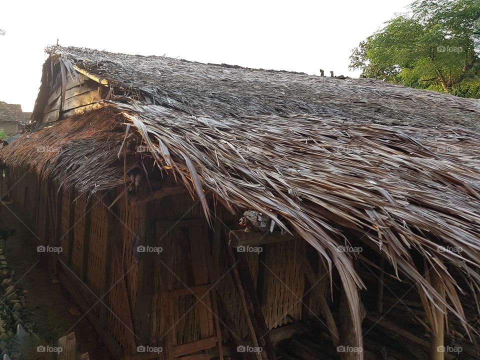 traditional house with leaf roof