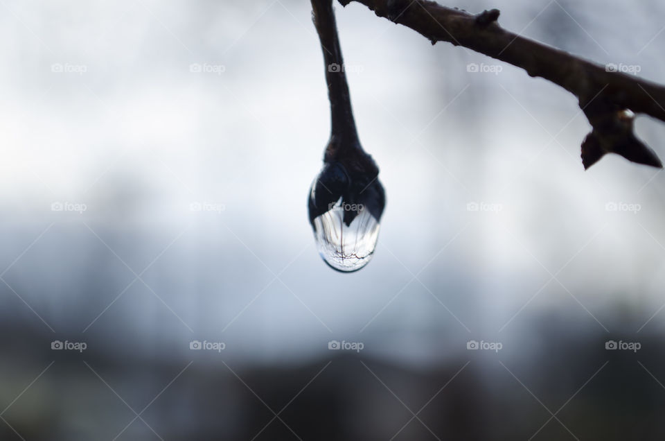 Raindrop Reflection 2