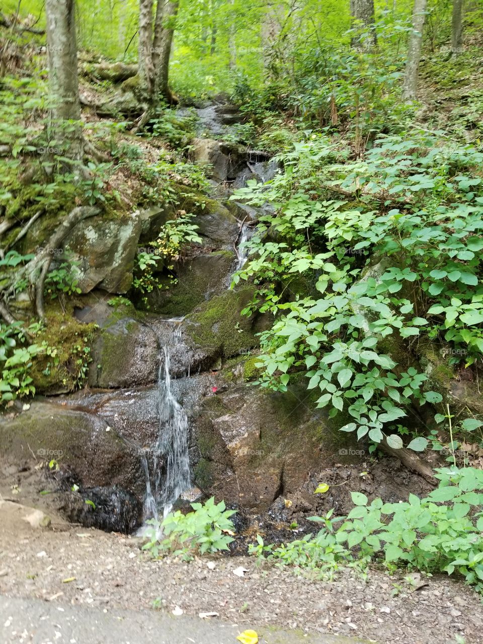 Small stream of water in the mountains.