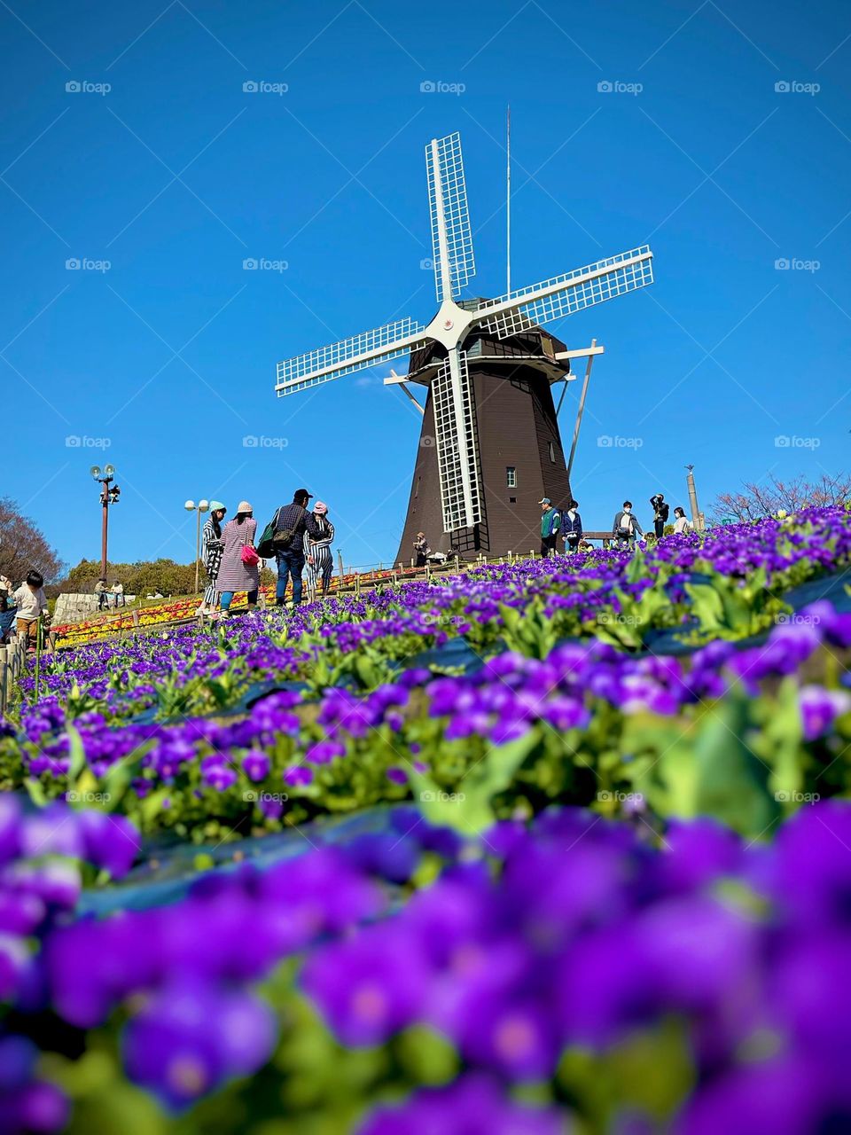 Flower village