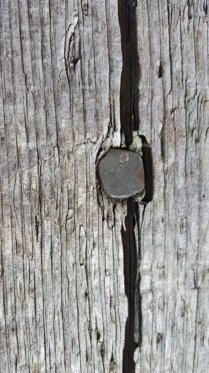 Nail in old grey wood 