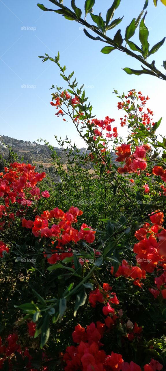 beautiful place in Jordan 🇯🇴