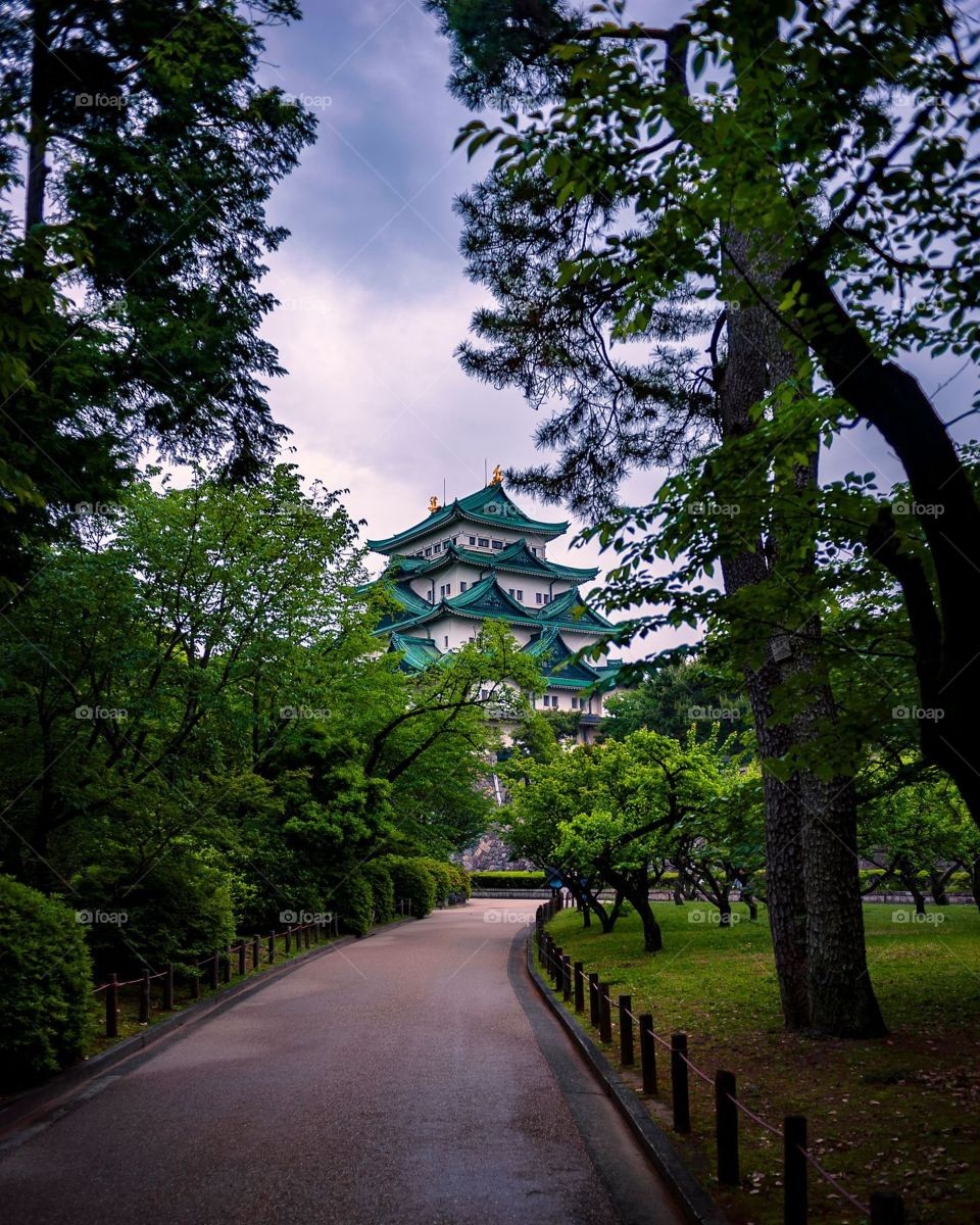 Nagoya Castle, Nagoya, Japan.
名古屋城、名古屋、日本。