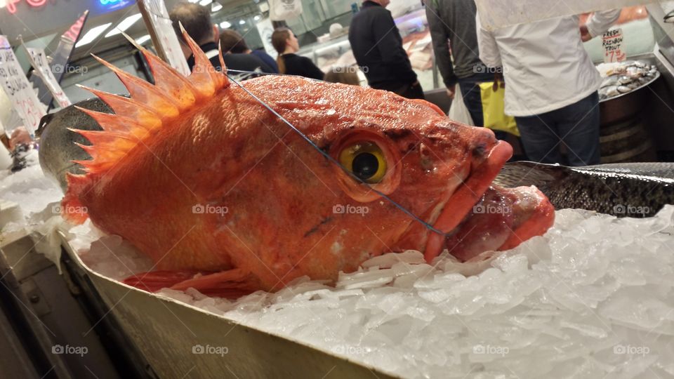 Big fish. pike place market