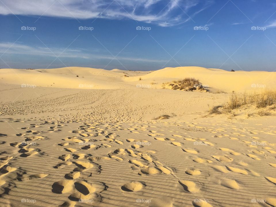 Sand dunes