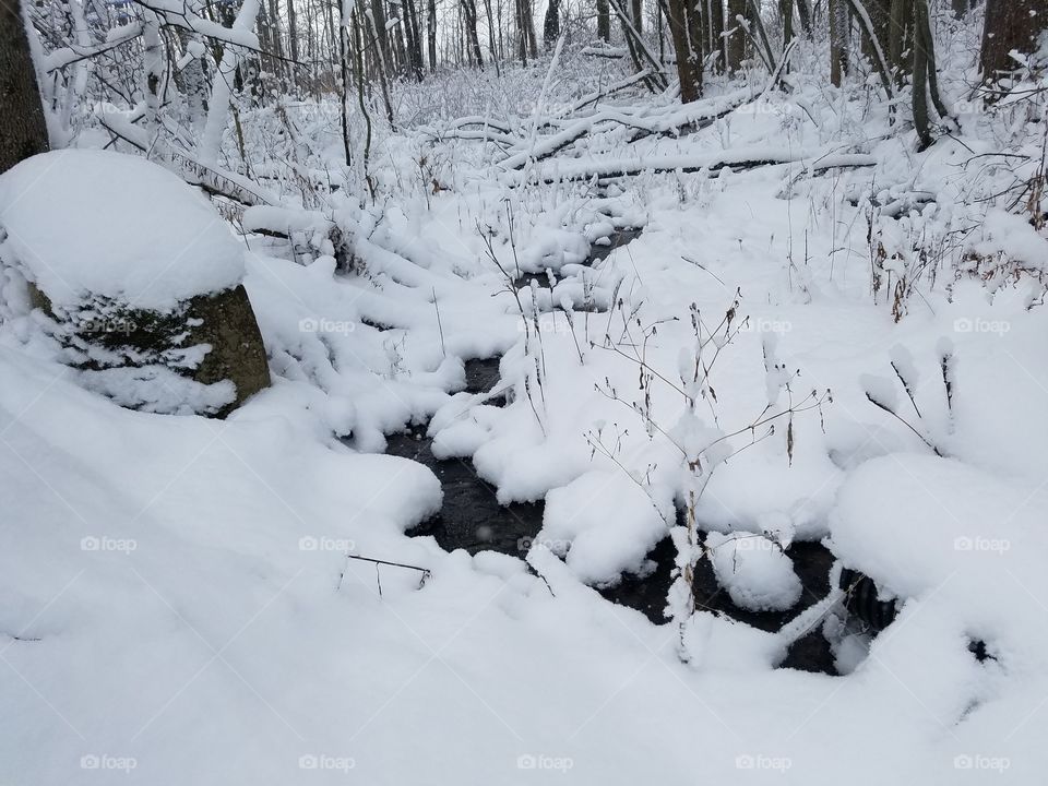 Babbling Brook in the snow