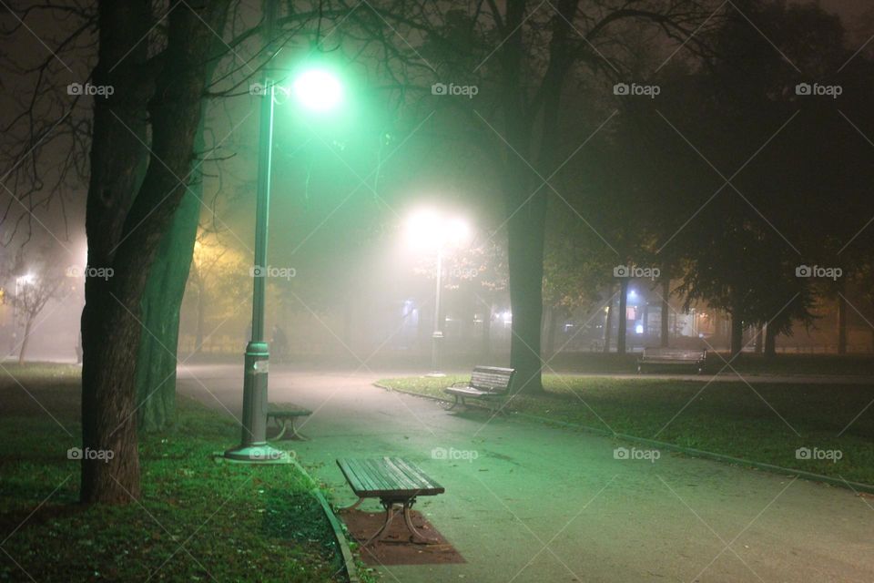 Park during the fog at night