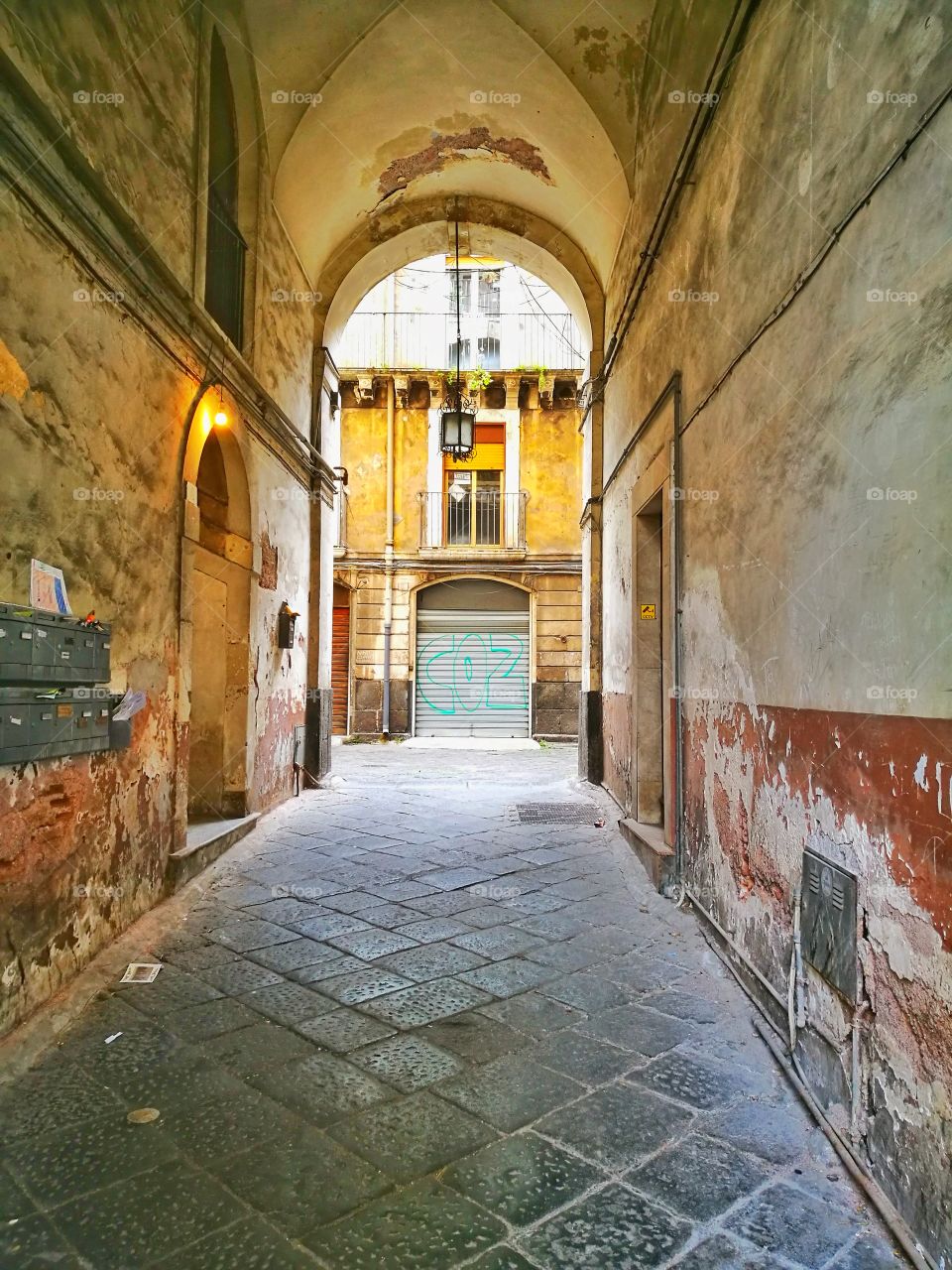 Hinterhof / Backyard