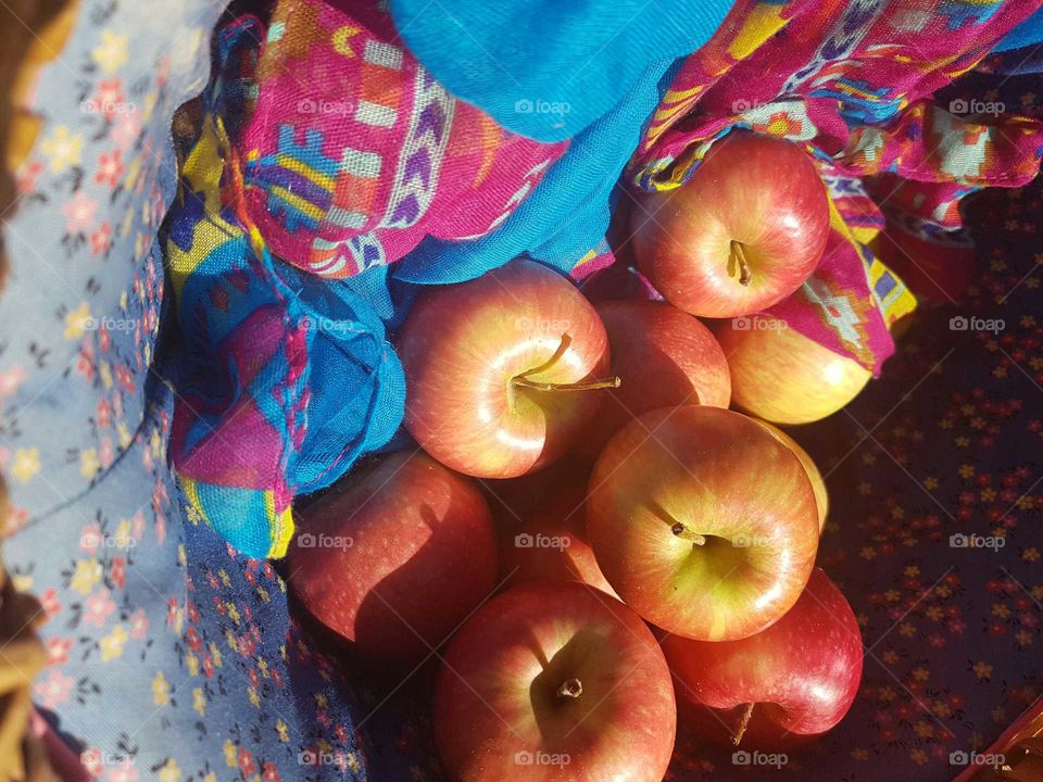 Apples