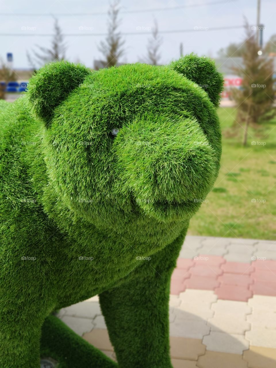 Grass bear