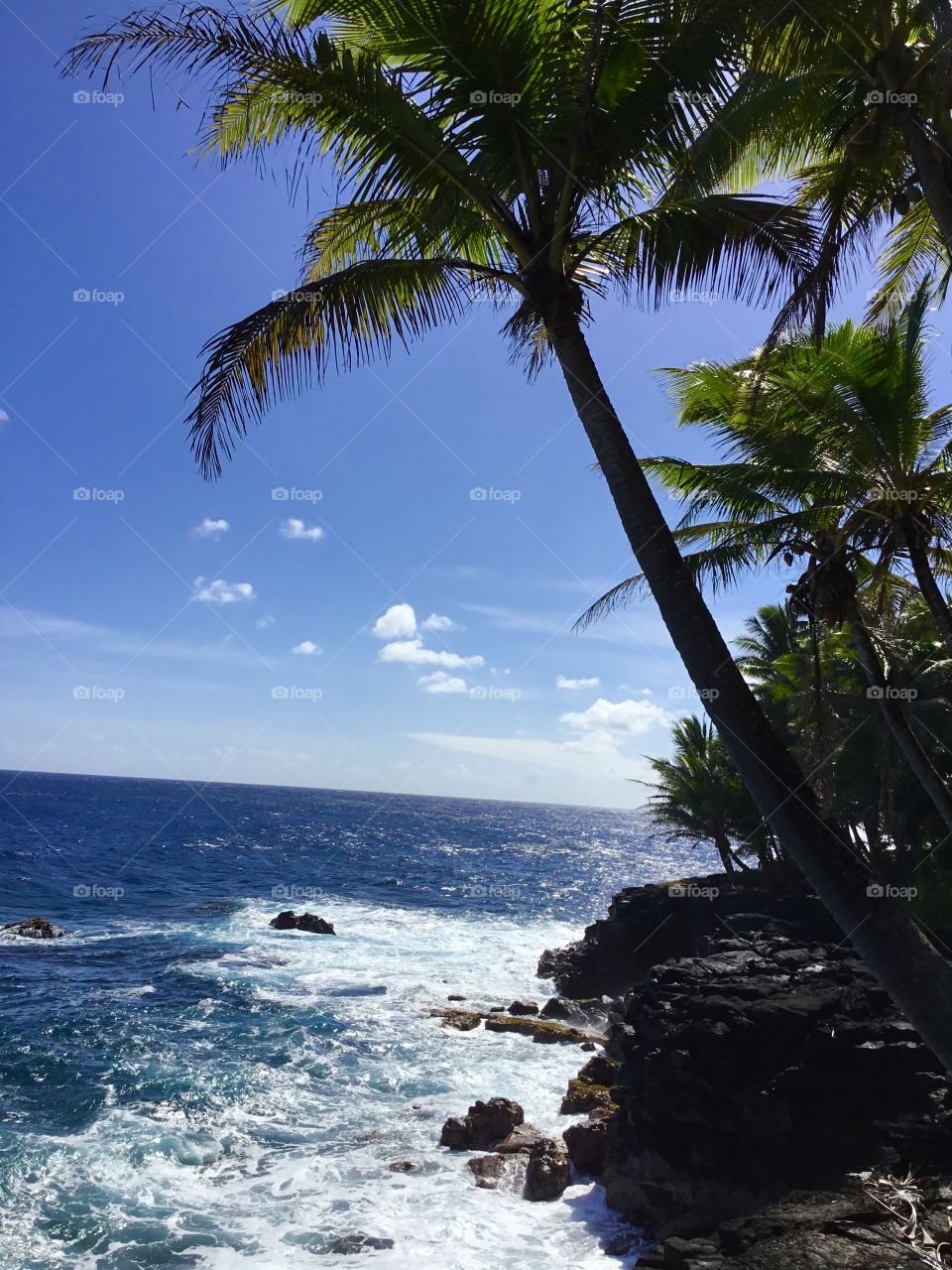 Bright sunny day in Hawaii