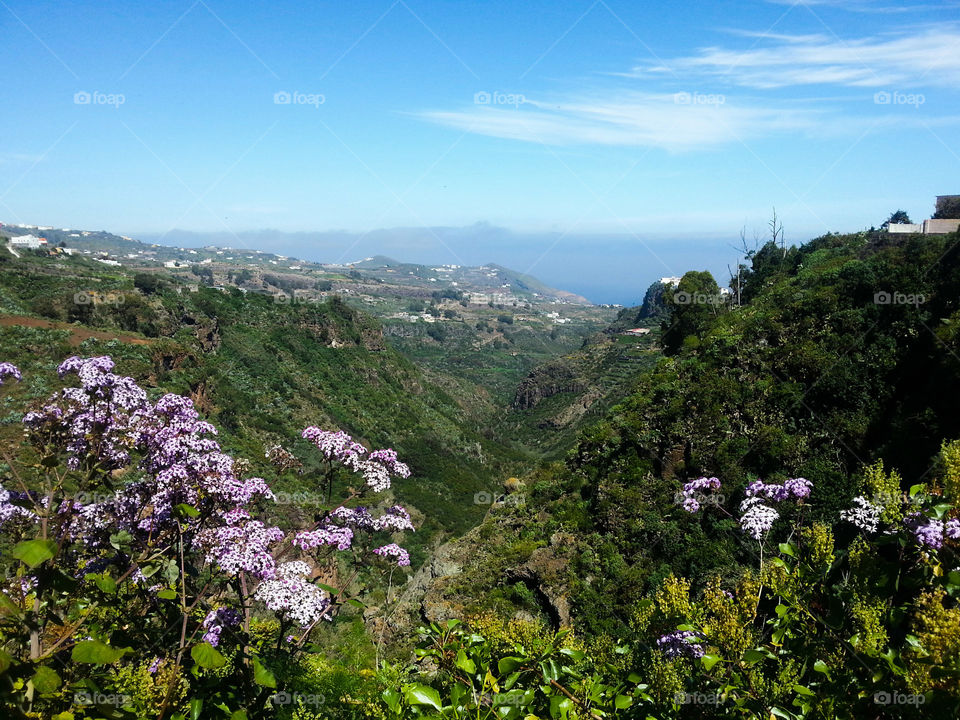A green lush valley,  Gran Canaria