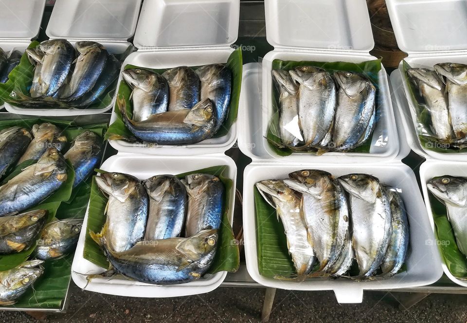 Fish, Seafood, Food, Market, Sea