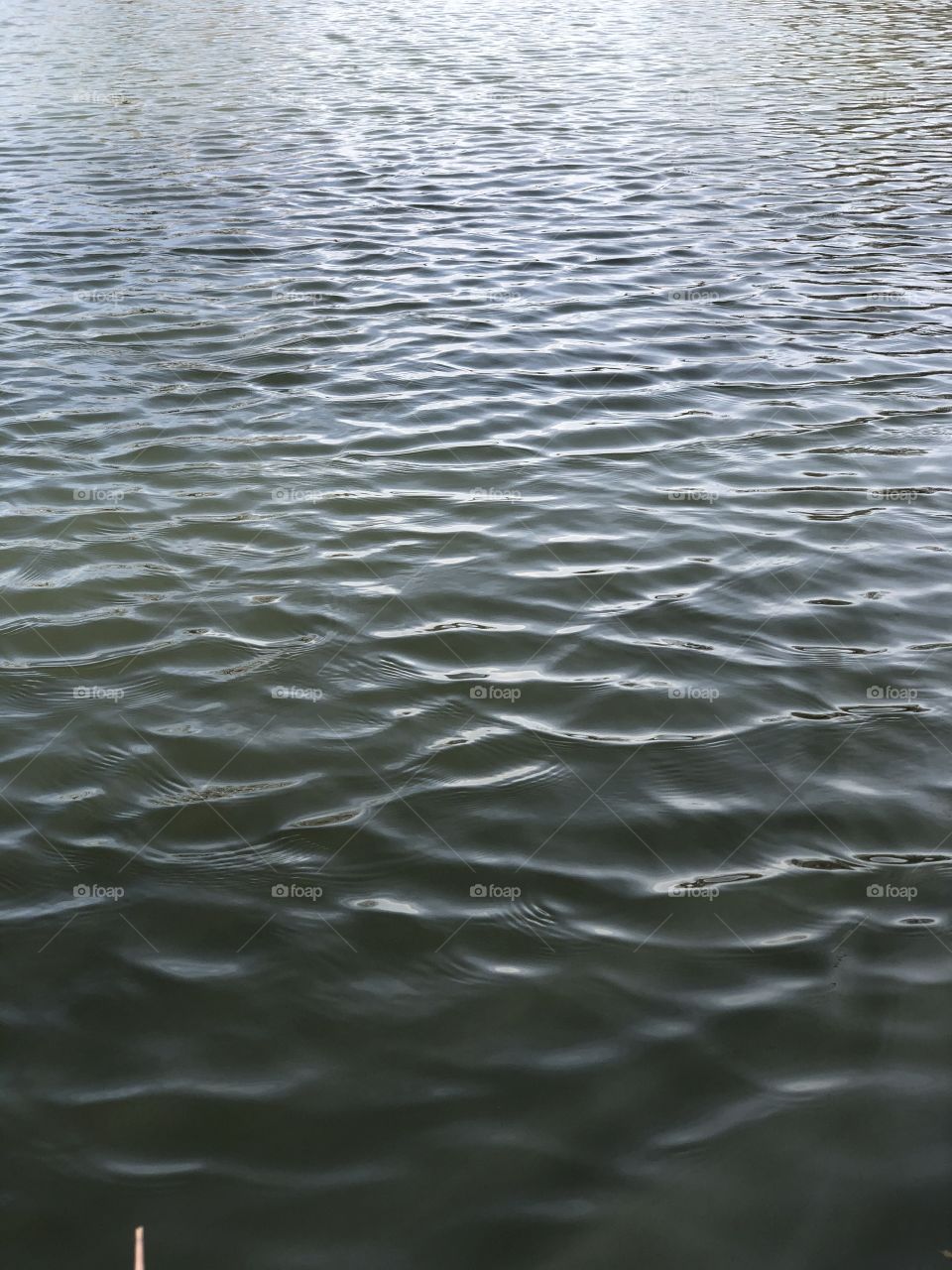 A windy day on the edge of a sandy lake making ripples on the clear water.