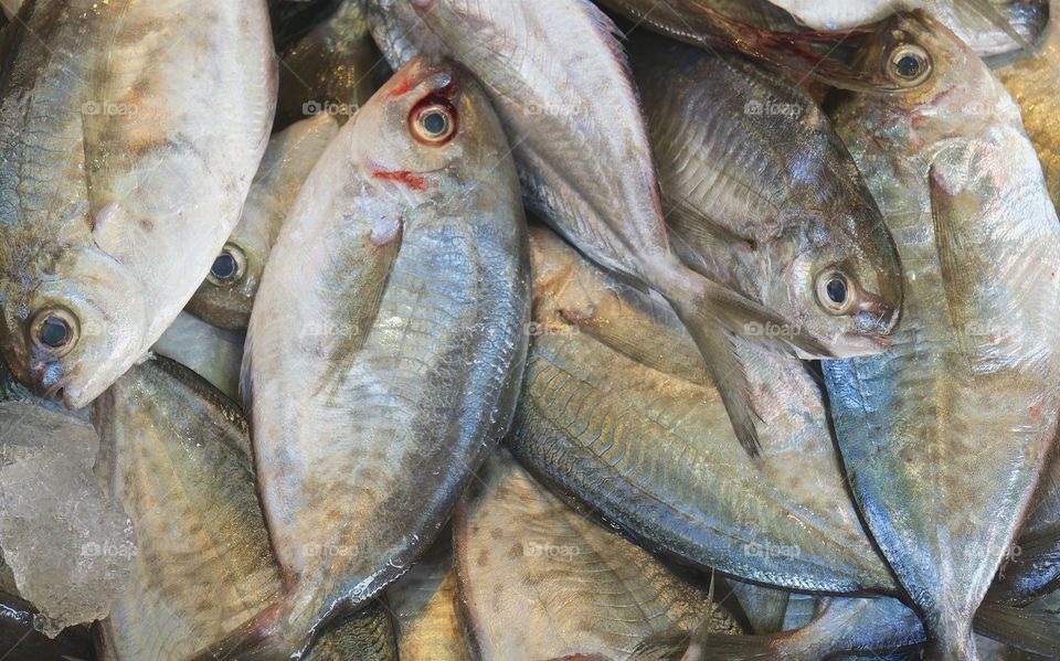 Fresh fish on display at a market in Manhattan's 'Chinatown , New York City.