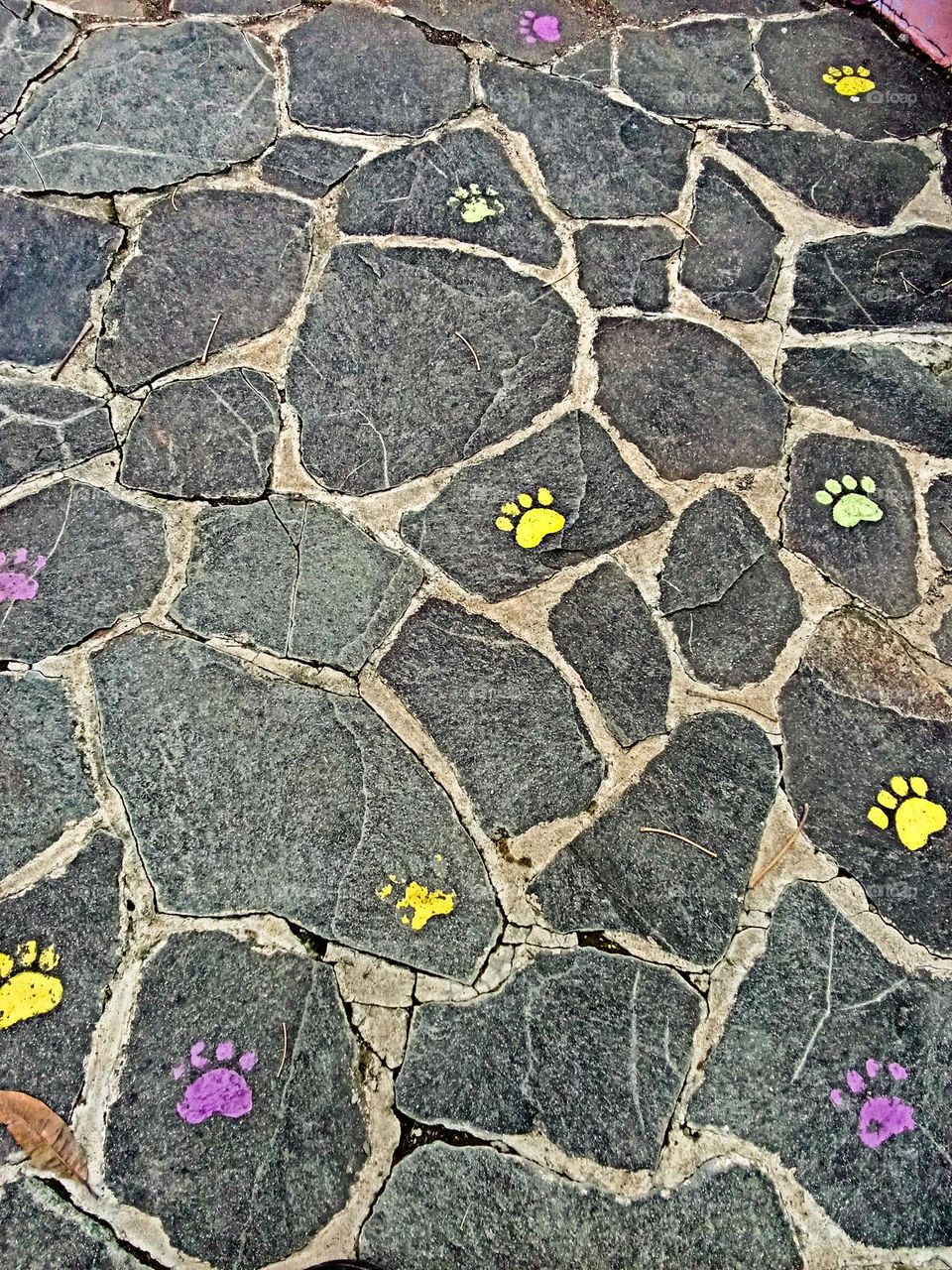 footprints in a pot garden flower garden