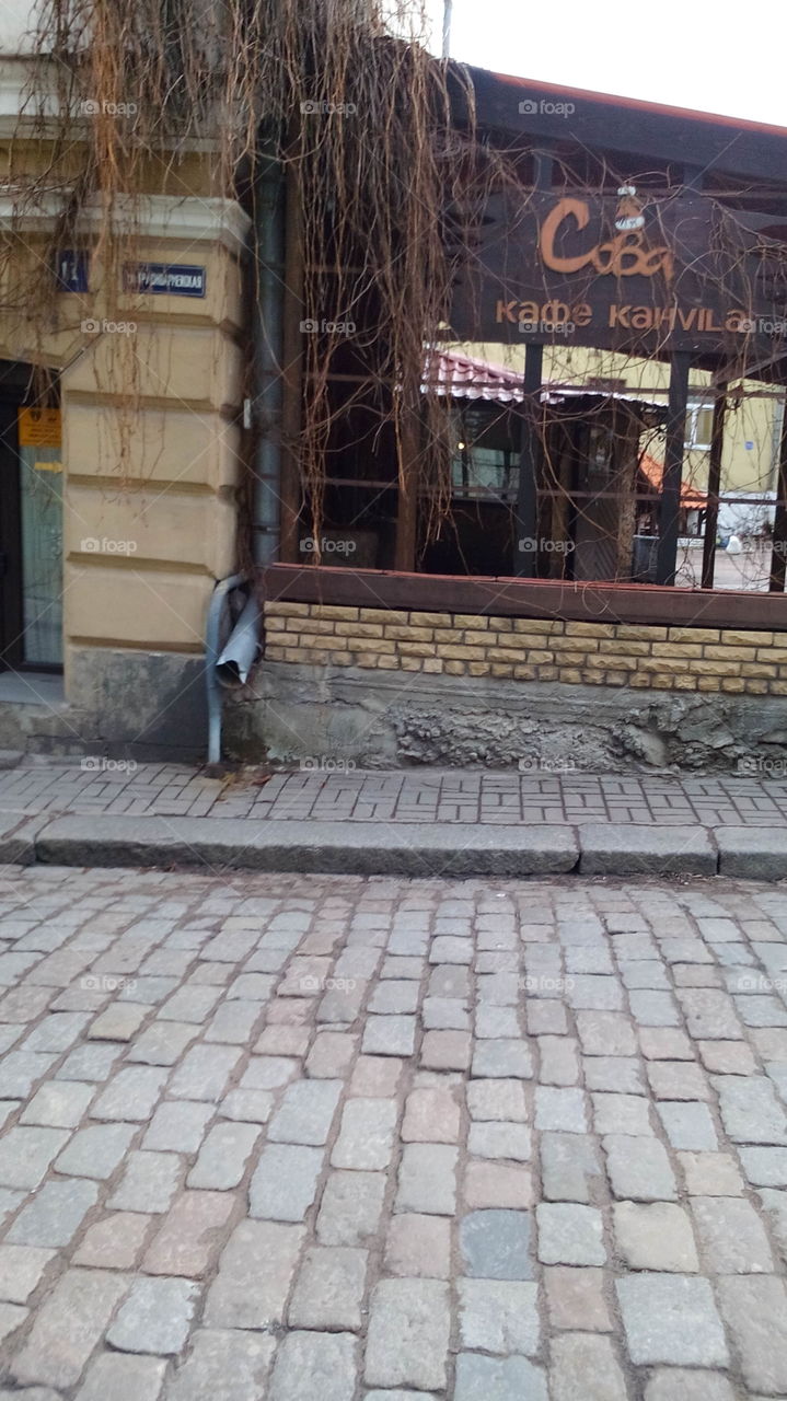 Vyborg, downtown, café Owl