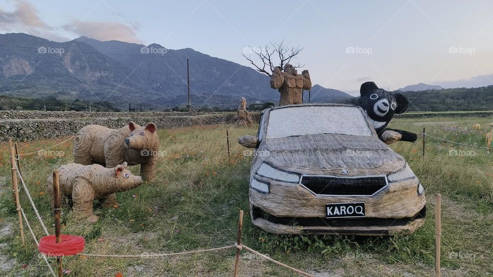 a closeup shot of a car in the forest