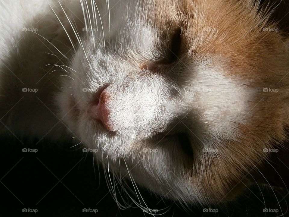 Shadows of Obi-Wan Kenobi 2