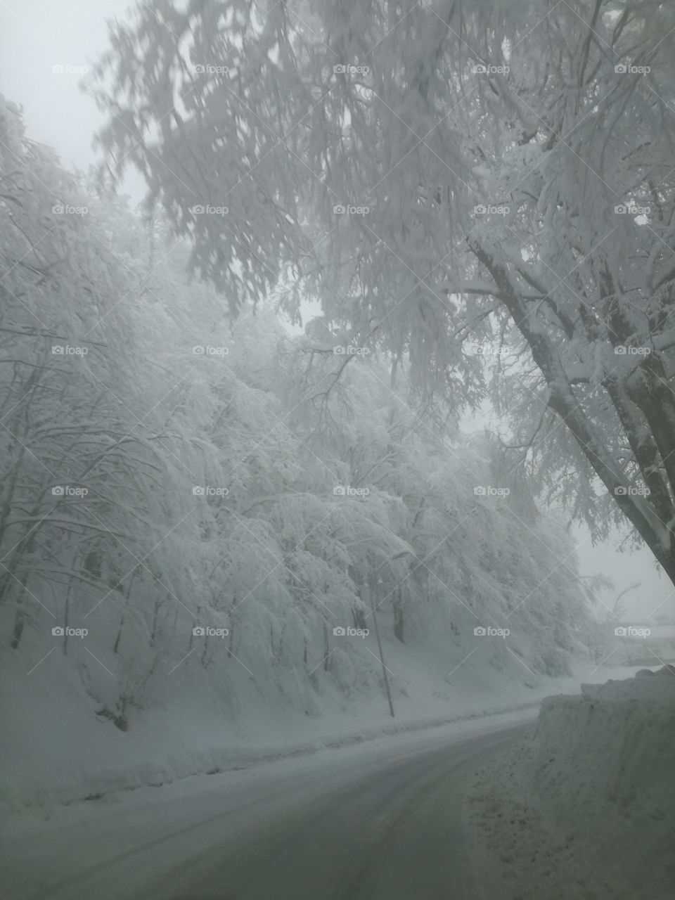 While I was driving: It's snowing