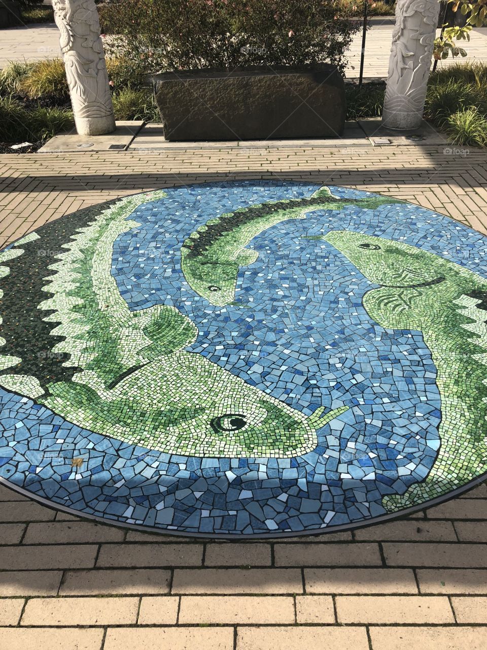 Fish mosaic 