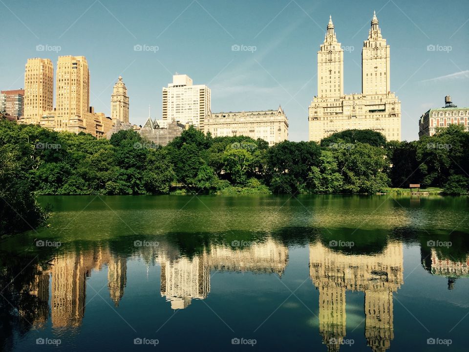 Central Park NYC . The "ramble " part of the park