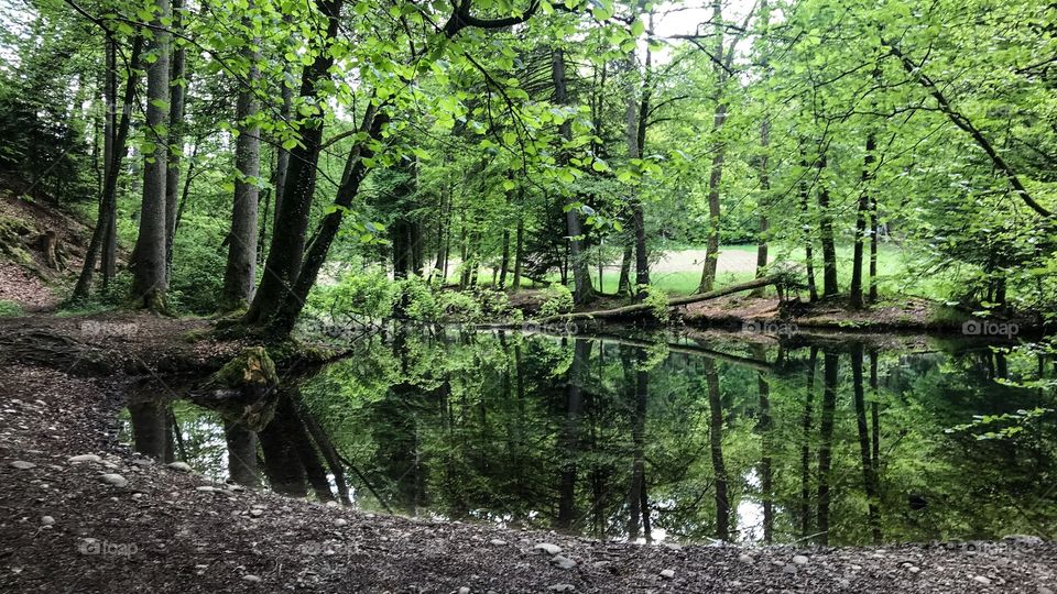 Steibachweiher 