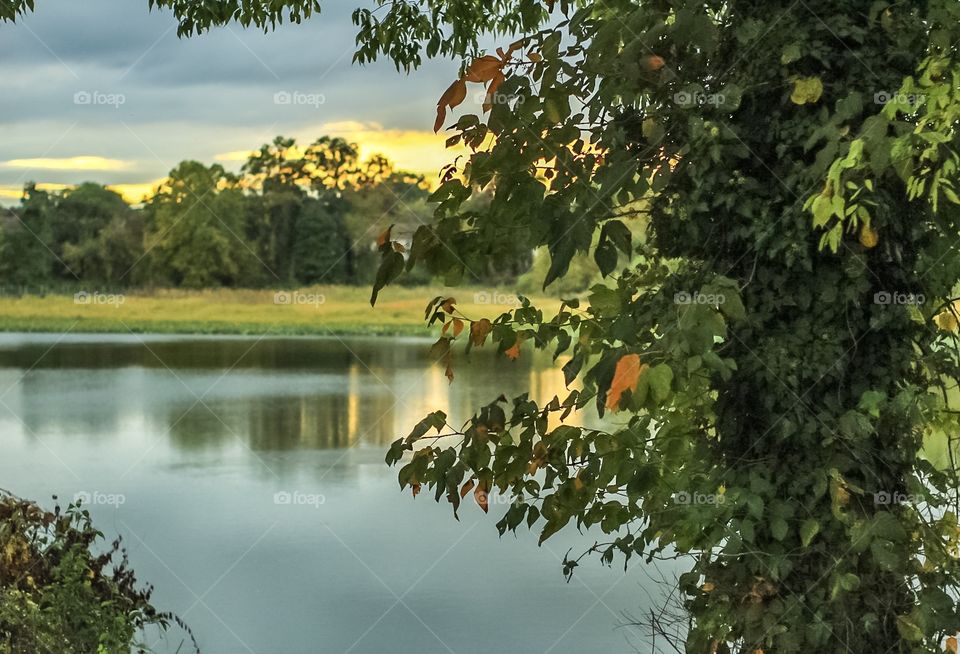 Lake reflection scenic view