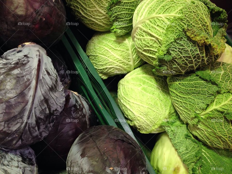 High angle view of various cabbage