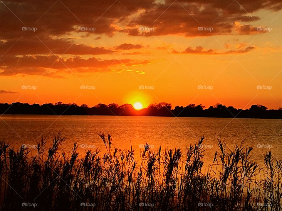 Scenic view of nature