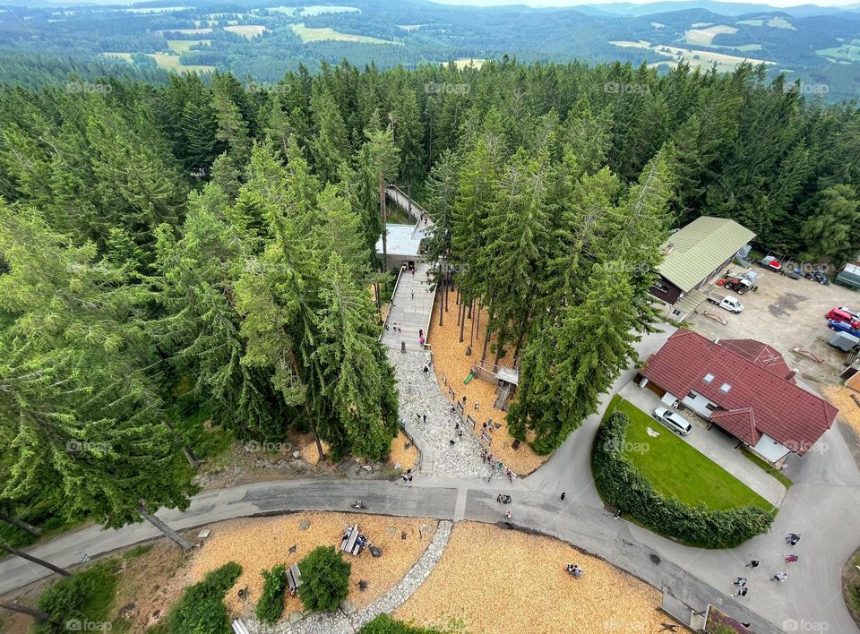 A high angle shot of treetop walkway in Lipno.