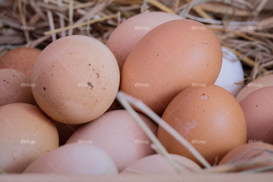 Organic eggs is better for health 