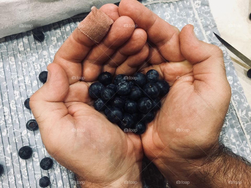 Blueberries are arranged in the shape of a heart in loving hands. 