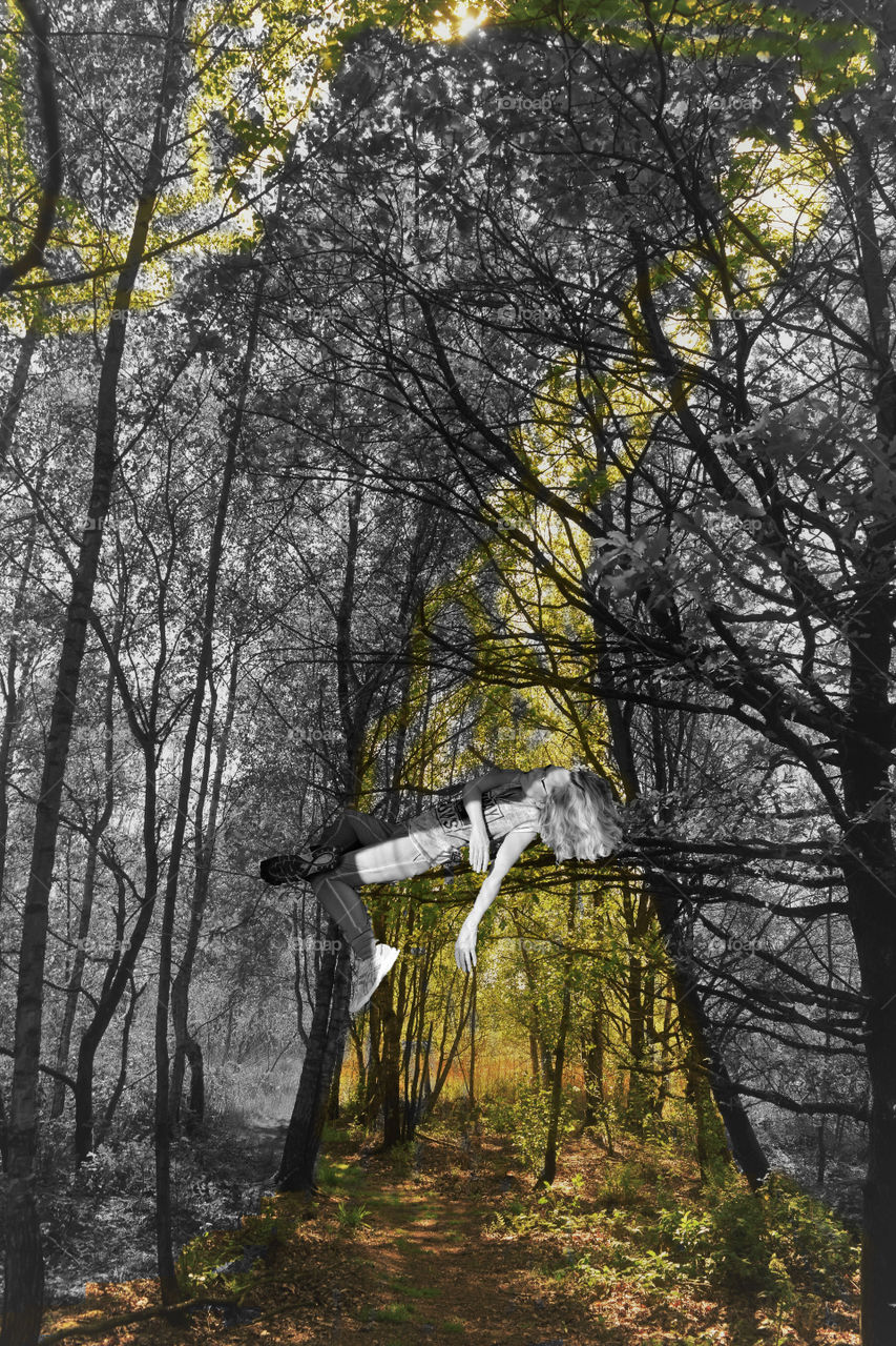 woman sleeping on the branch of a tree in a forest black and white with color effects