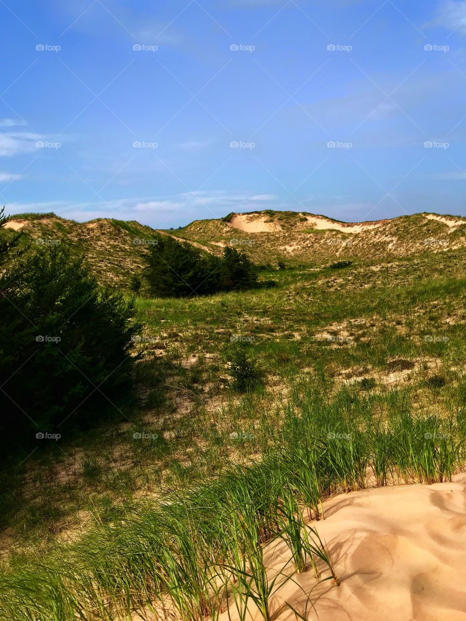 Beautiful view of the sand dunes at Ludington State Park—taken in Ludington, Michigan 