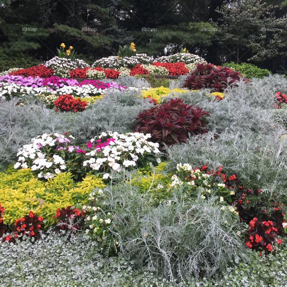 💐💐💐