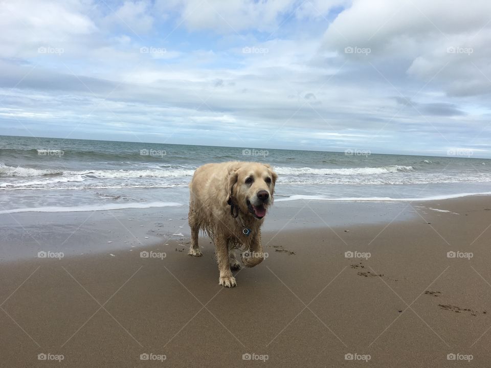 Beach, Water, Sea, Sand, Ocean