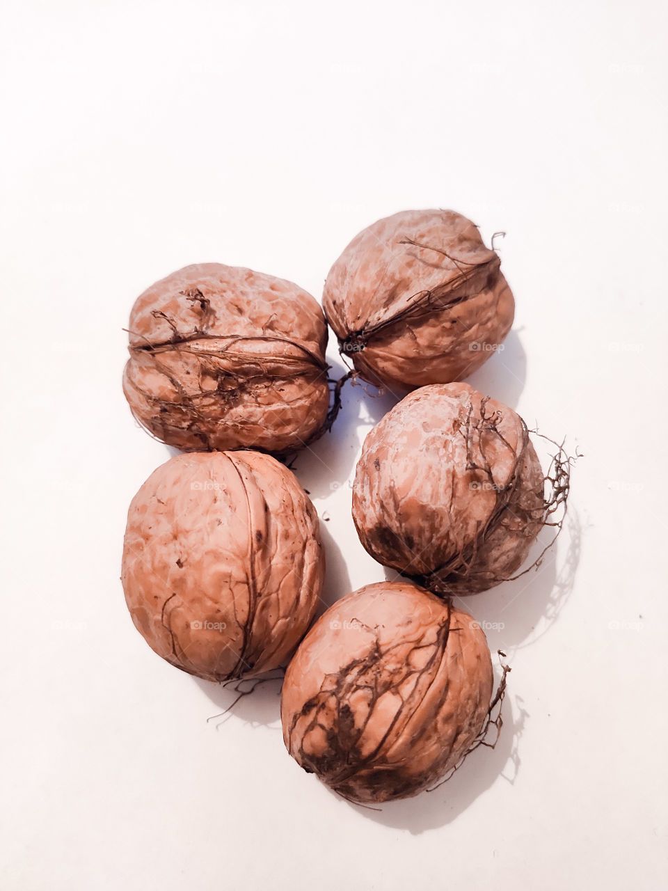 Walnut on a white background with a little blur