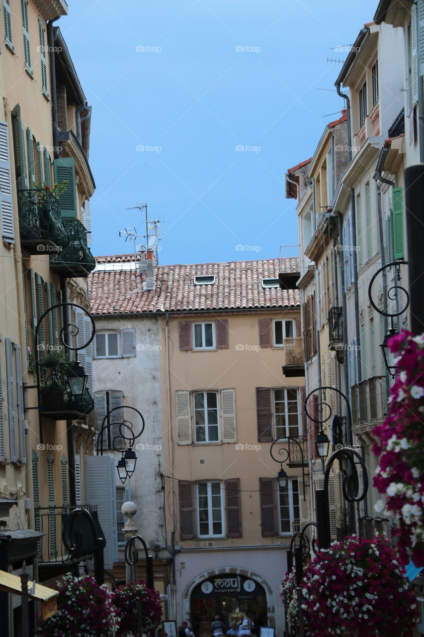 Plants on balconies 