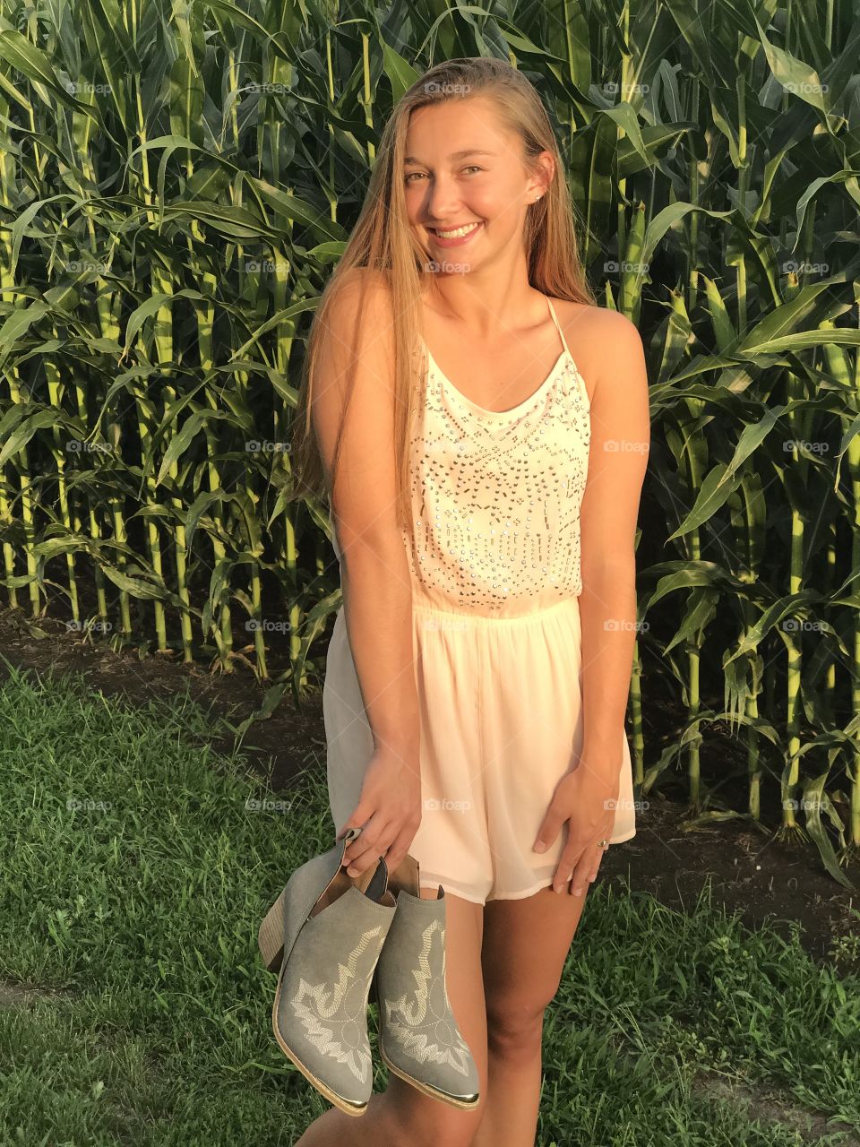 Country corn field picture 